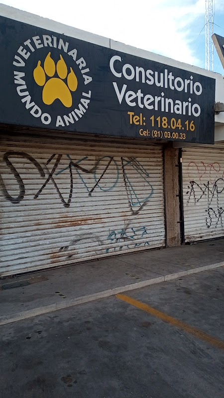 VETERINARIA MUNDO ANIMAL