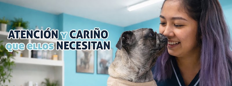 Veterinaria Noé