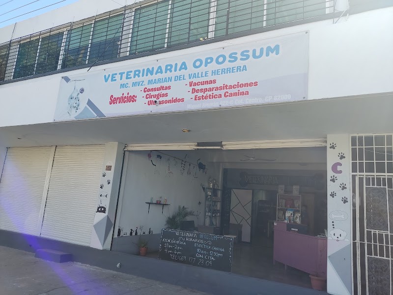 Veterinaria Opossum Mazatlán — Medicina felina en Mazatlán