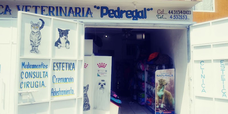 Veterinaria Pedregal