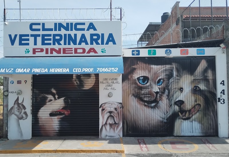Veterinaria Pineda