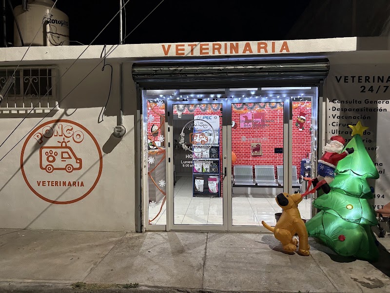 Veterinaria Pongo — Medicina felina en Saltillo