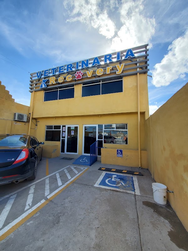 Veterinaria Recovery