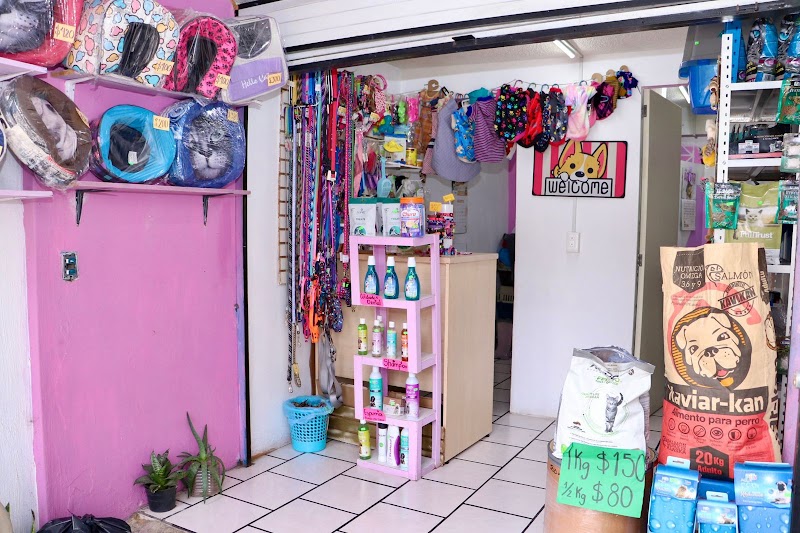 Veterinaria Rehability Vet GDL — Rehabilitación y fisioterapia veterinaria en Guadalajara