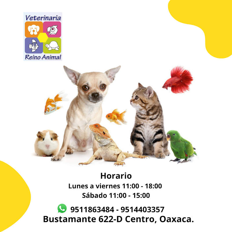 Veterinaria Reino Animal
