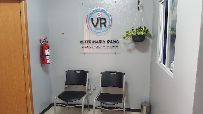 Veterinaria Roma