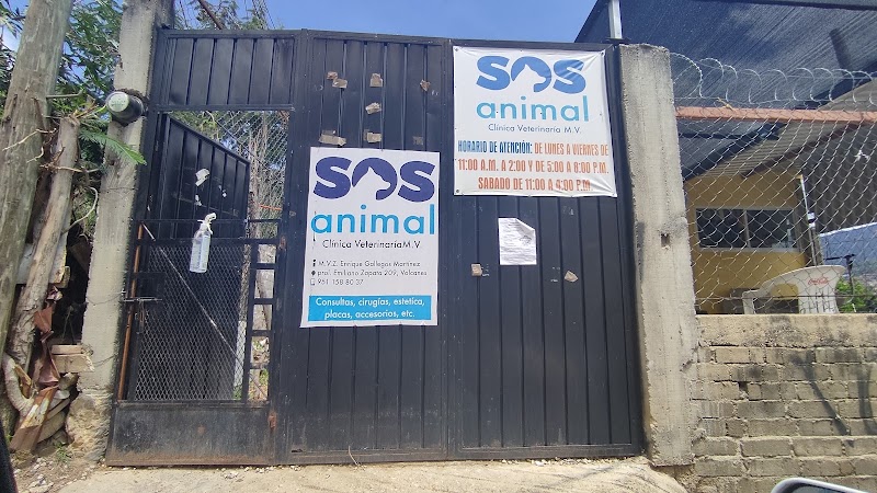 VETERINARIA S.O.S — Medicina general veterinaria en Oaxaca