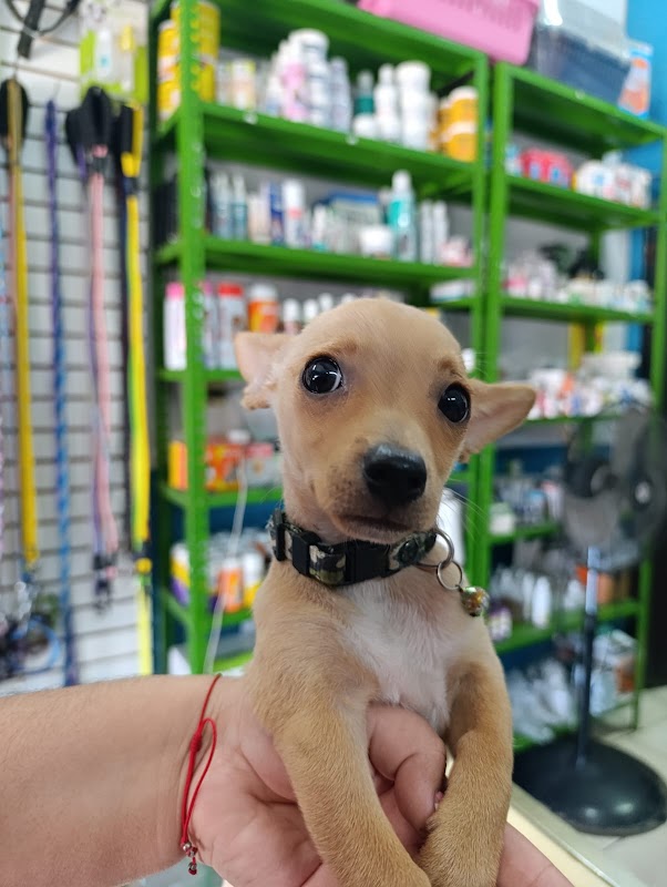 VETERINARIA SAN JORGE