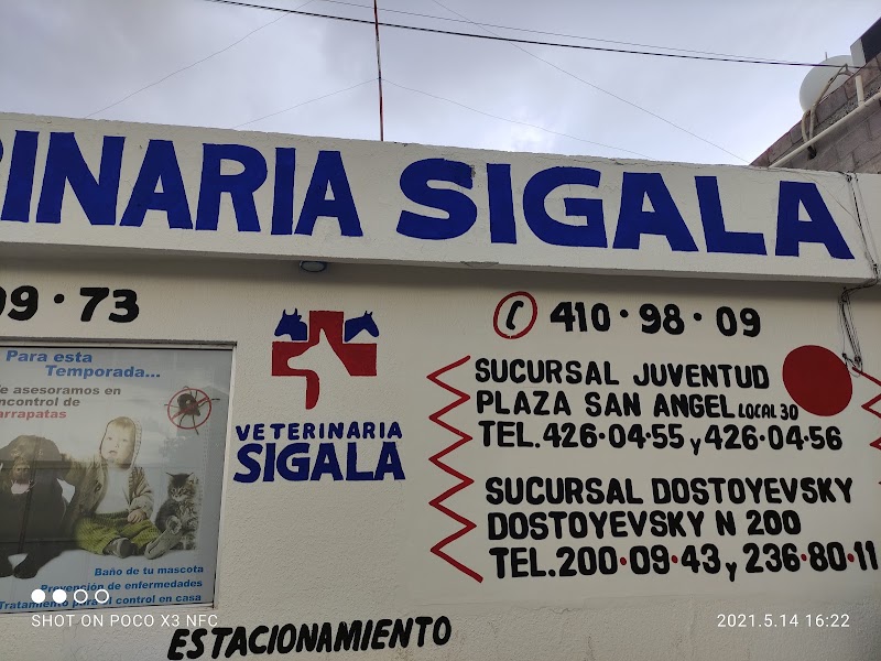 Veterinaria Sigala