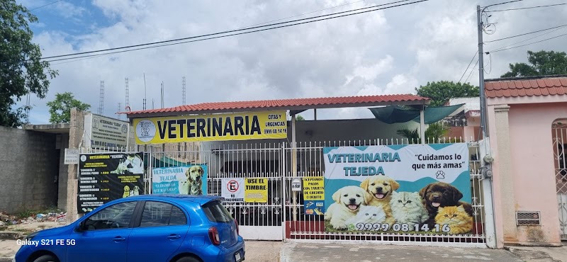 Veterinaria Tejeda