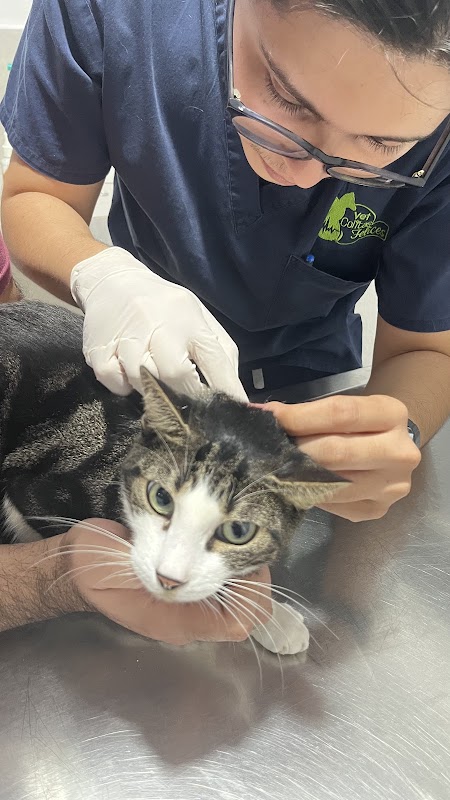 Veterinaria Vet Colitas Felices