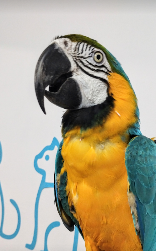 Veterinaria Vet Point Veracruz