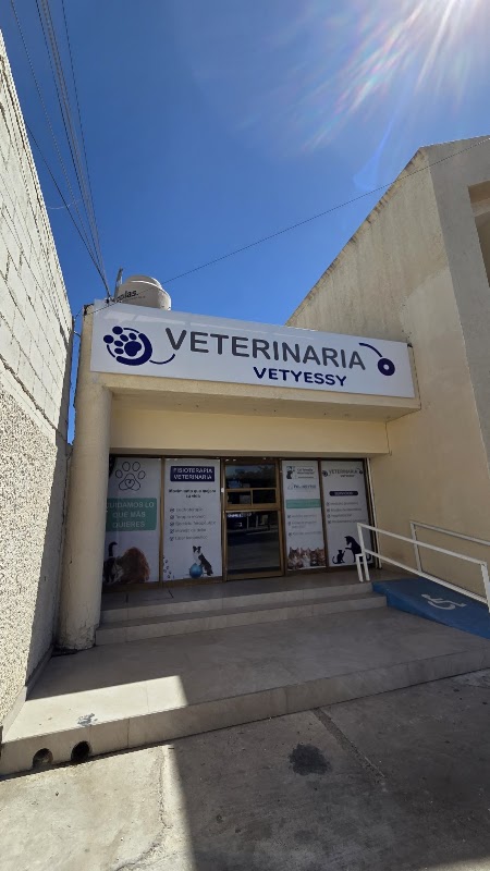Veterinaria VetYessy — Imagenología y diagnóstico veterinario en Hermosillo