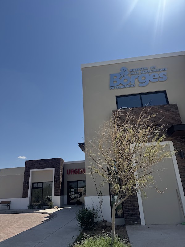 Veterinarias Borges Hospital de Alta Especialidad