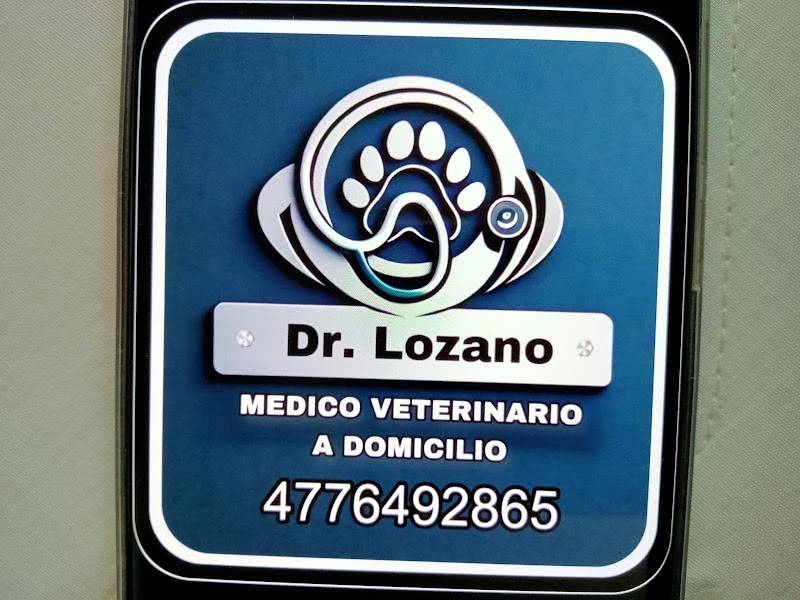 Veterinario a domicilio