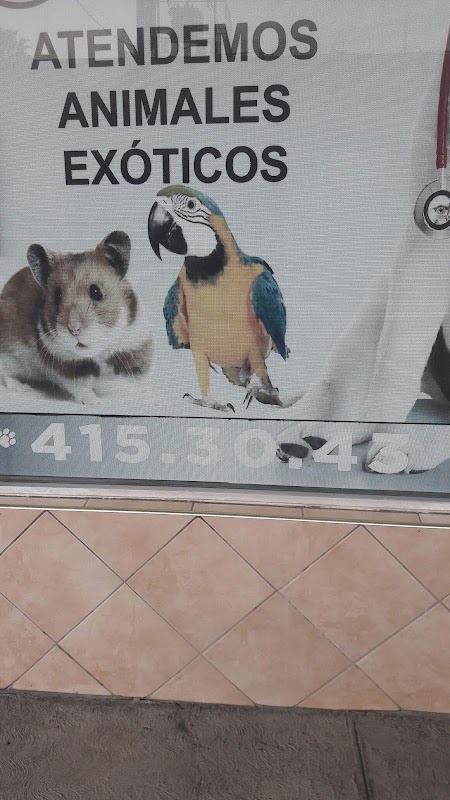 Veterinary Center