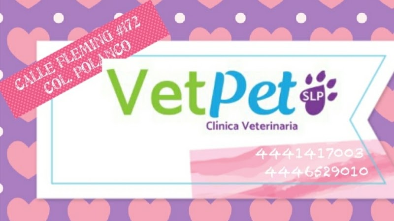 VetPet Clínica Veterinaria