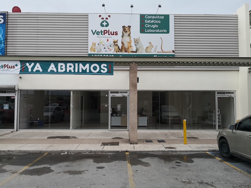 VetPlus Clinica Veterinaria