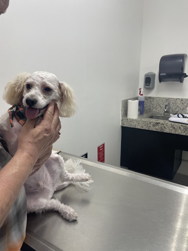 Villarreal Garza Hospital Veterinario
