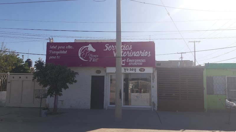 Yumi's Vet