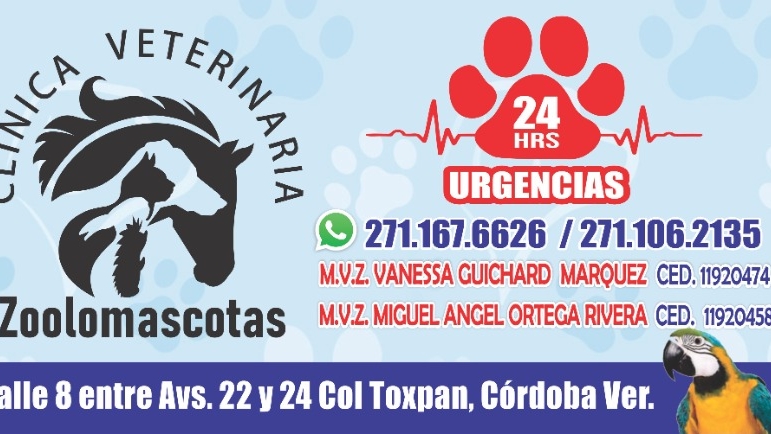 Zoolomascotas Clínica