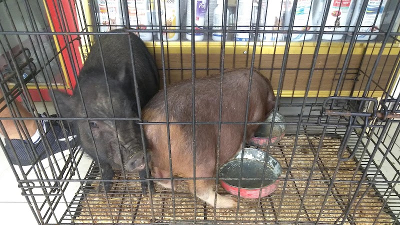 Zoomundo Veterinaria y mas