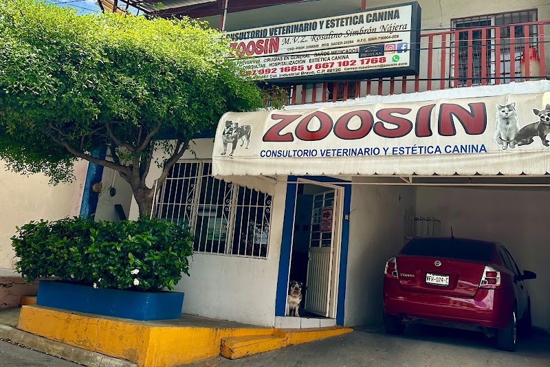 ZOOSIN — Medicina felina en Culiacán